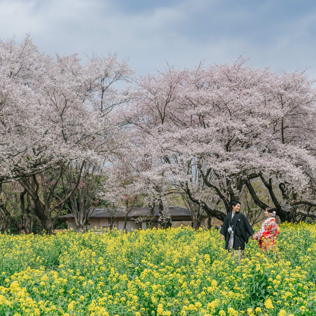 春のロケーション撮影