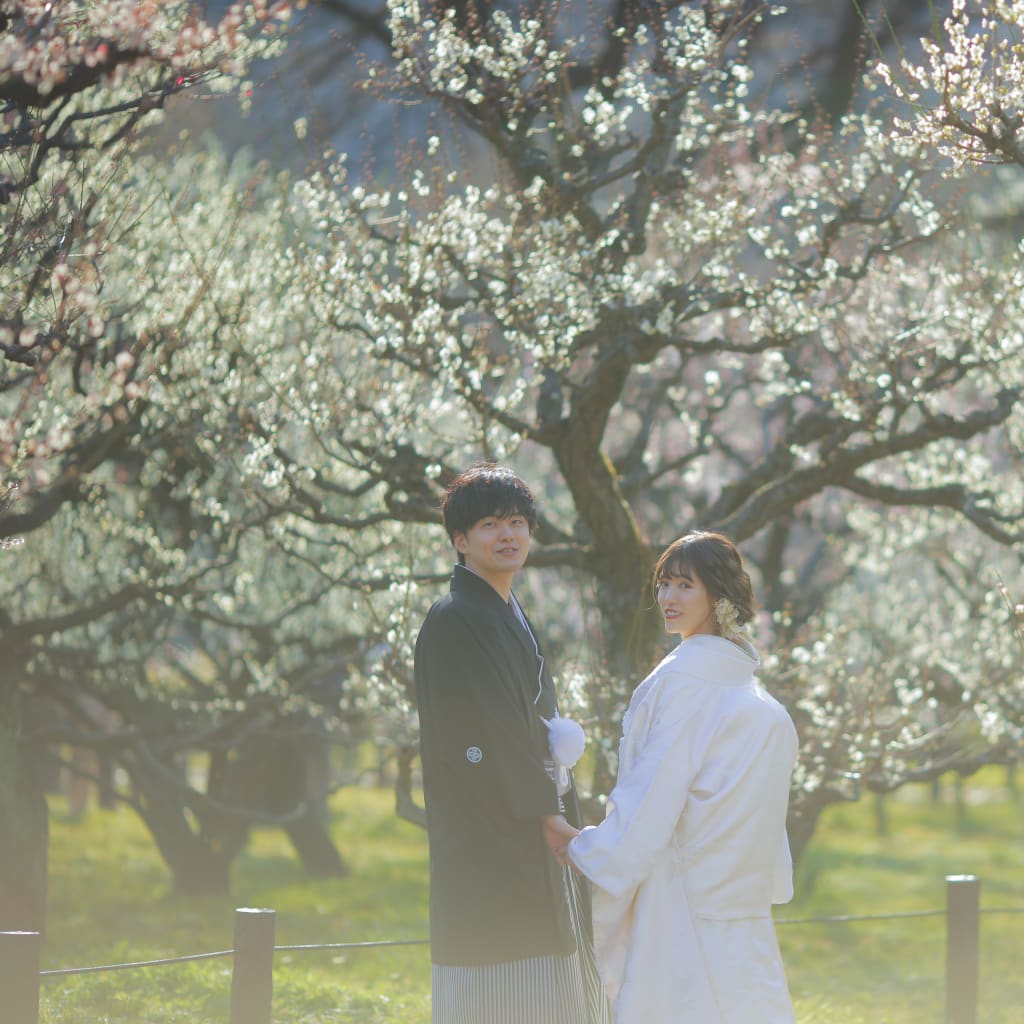梅の花 in 大阪城