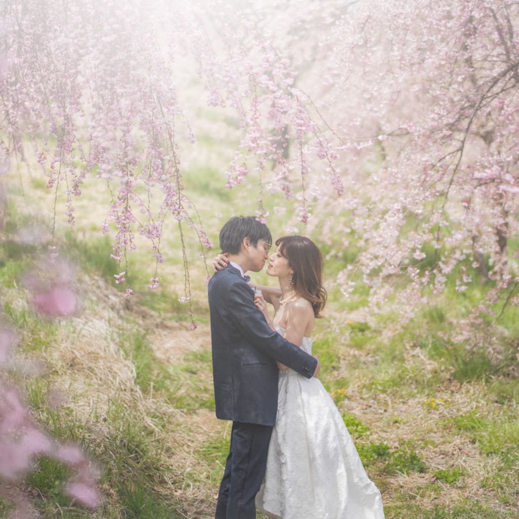 飯綱山公園の桜