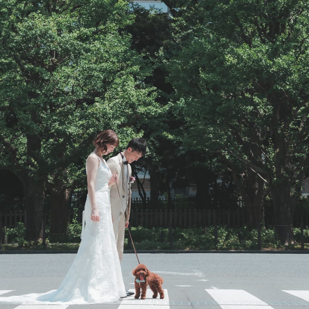 残りわずか！緑ロケーション