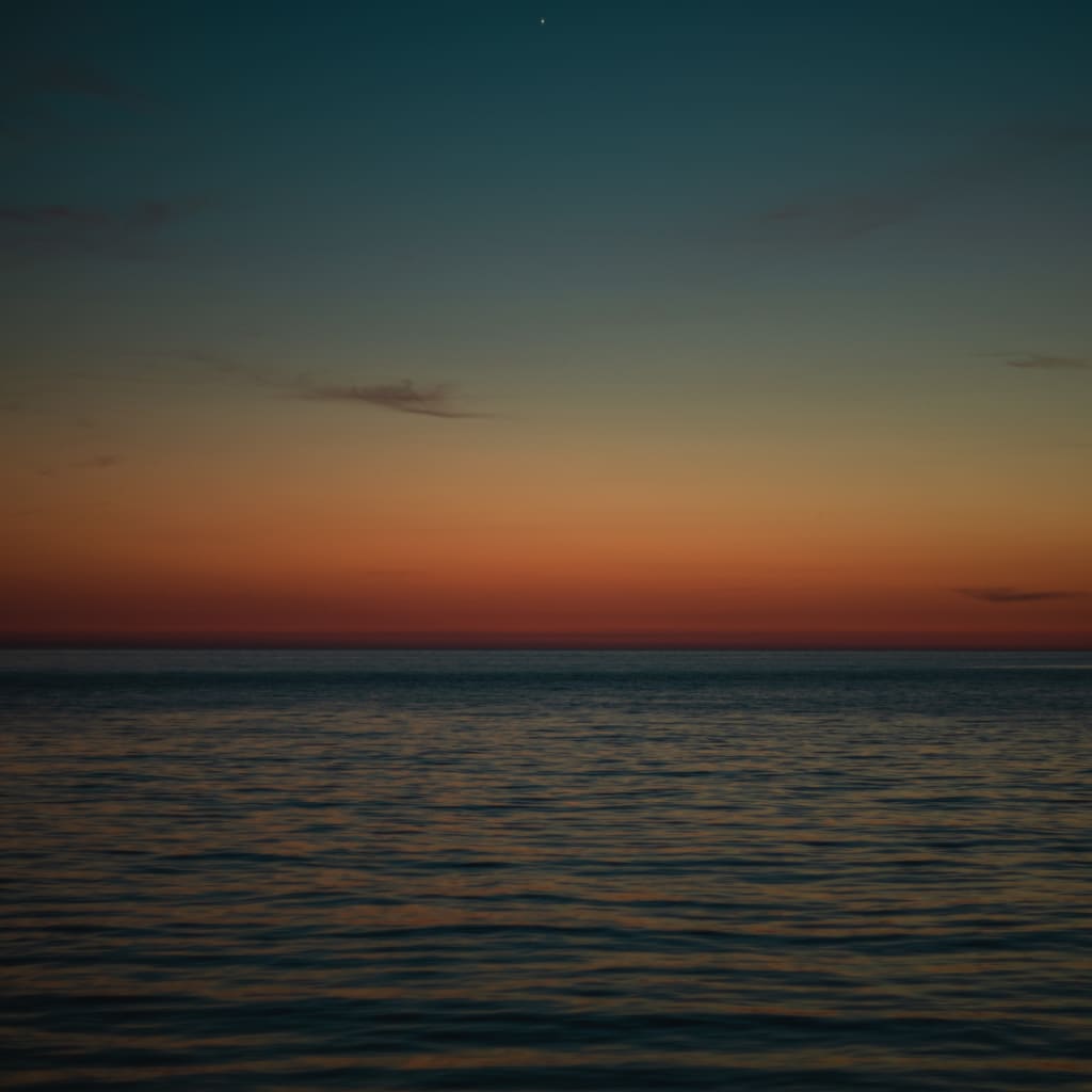 丁寧にみつめる。