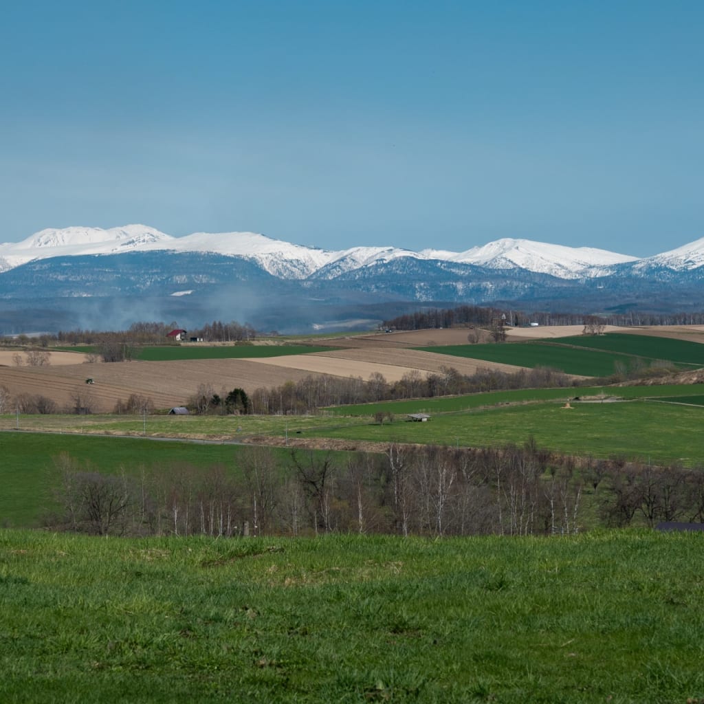 夏営業は5月1日開始！（撮影予約受付中）