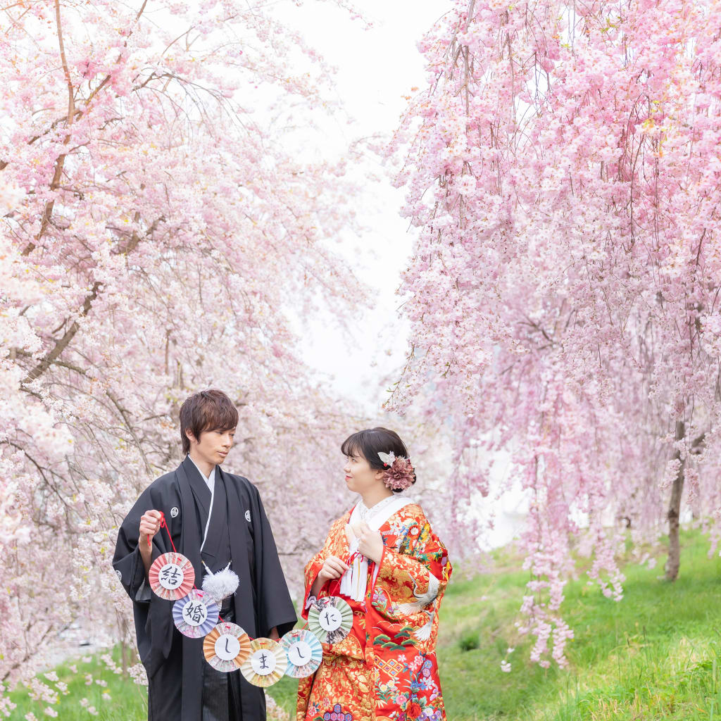  2024軽井沢桜ロケーション！【空き枠の案内】