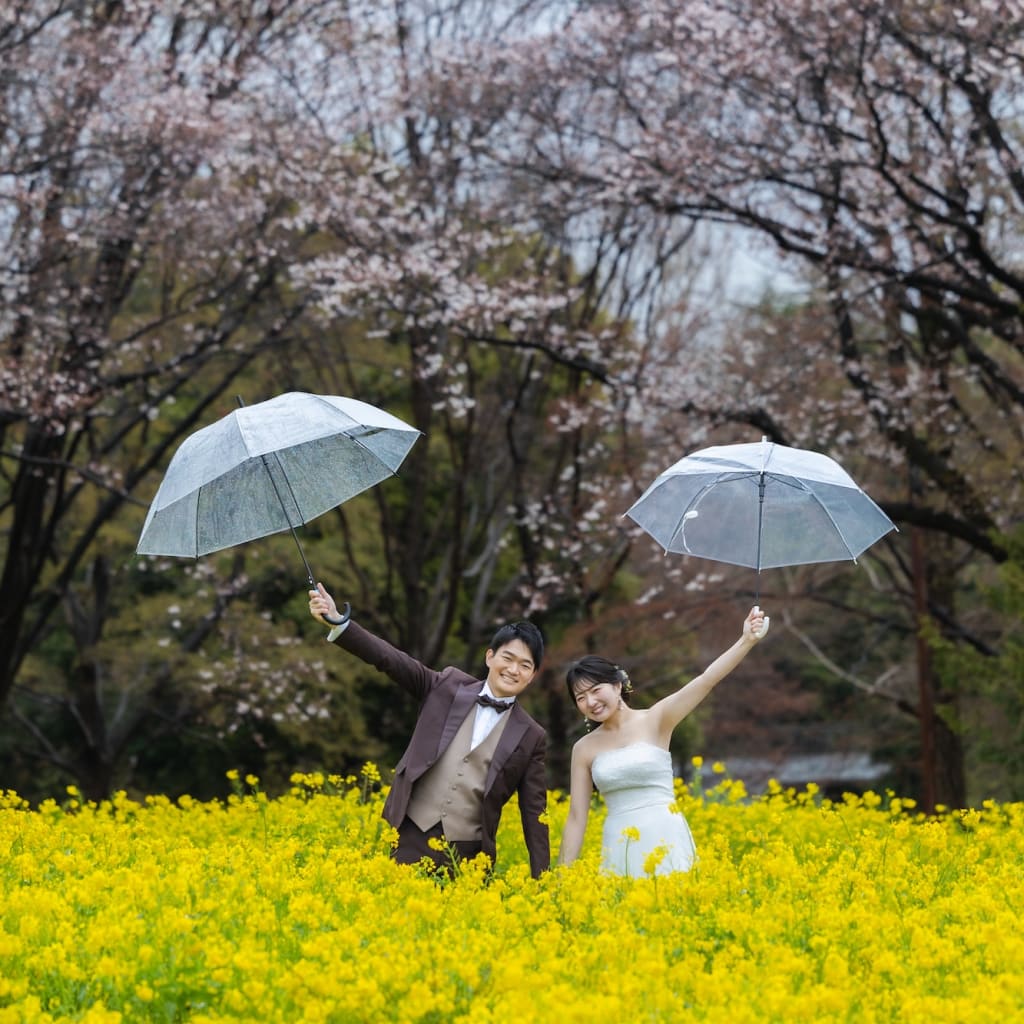 桜雨ロケ