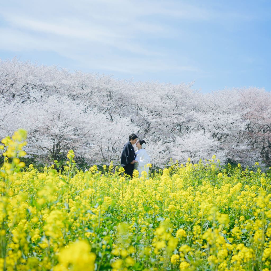 桜撮影絶賛受付中です！残り僅かの受付枠のためお急ぎください！！