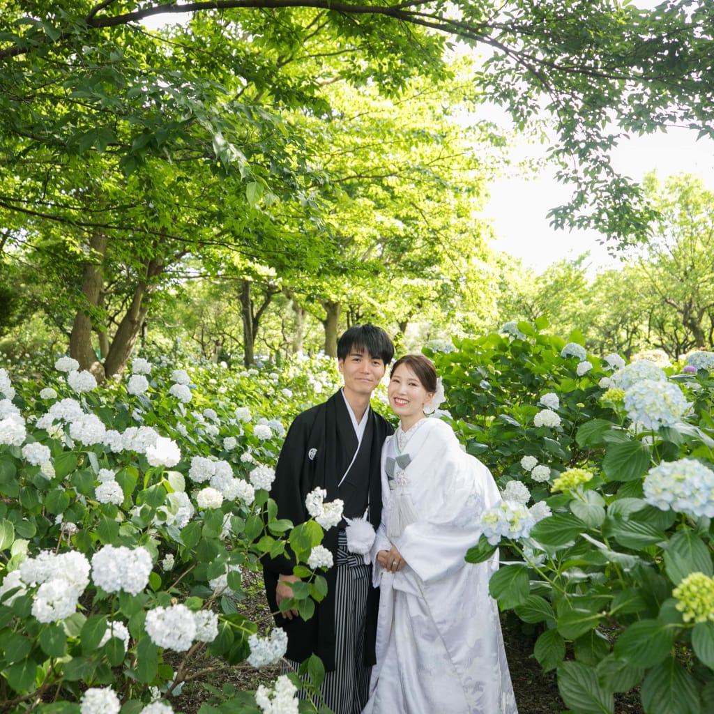 紫陽花の季節！大宮第二公園での撮影