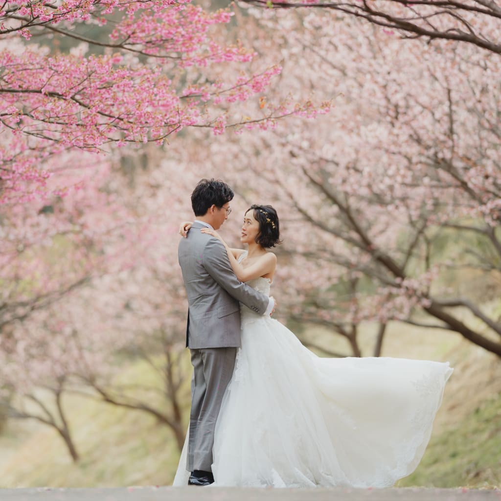 【河津桜】四季を目一杯感じに行きませんか？