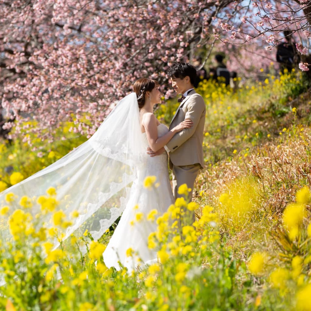 【早咲】河津桜ロケーション