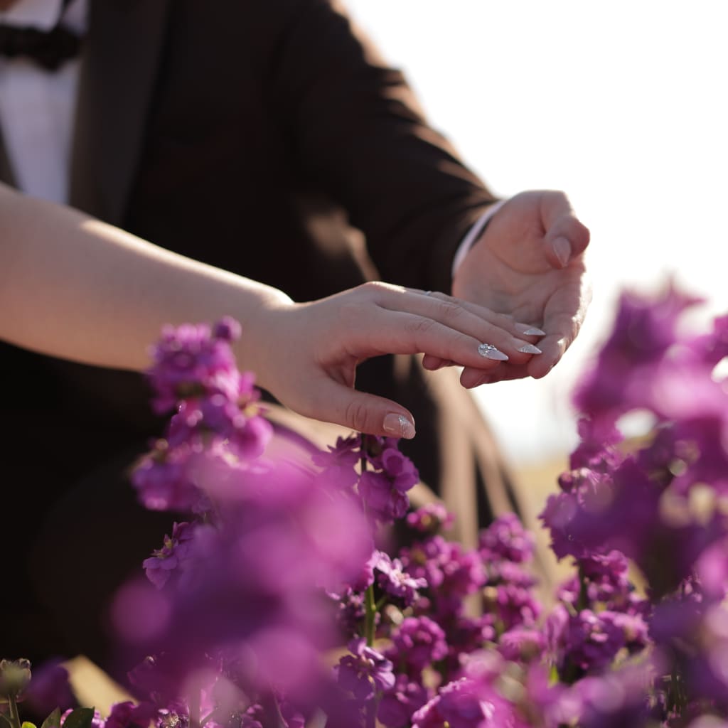 撮影旅行〜淡路島〜