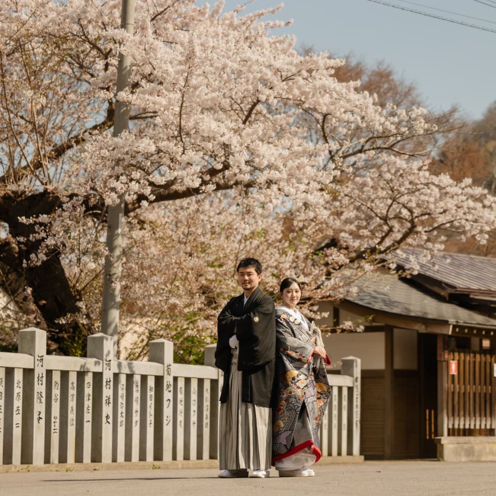 函館の桜まだまだ受付中🌸