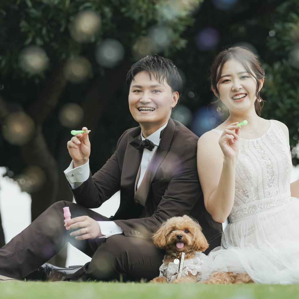 ペットと一緒に山下公園ロケーション