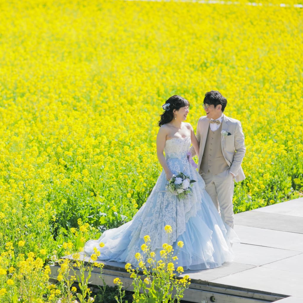 360° 菜の花に囲まれて一足先に春を楽しみませんか？