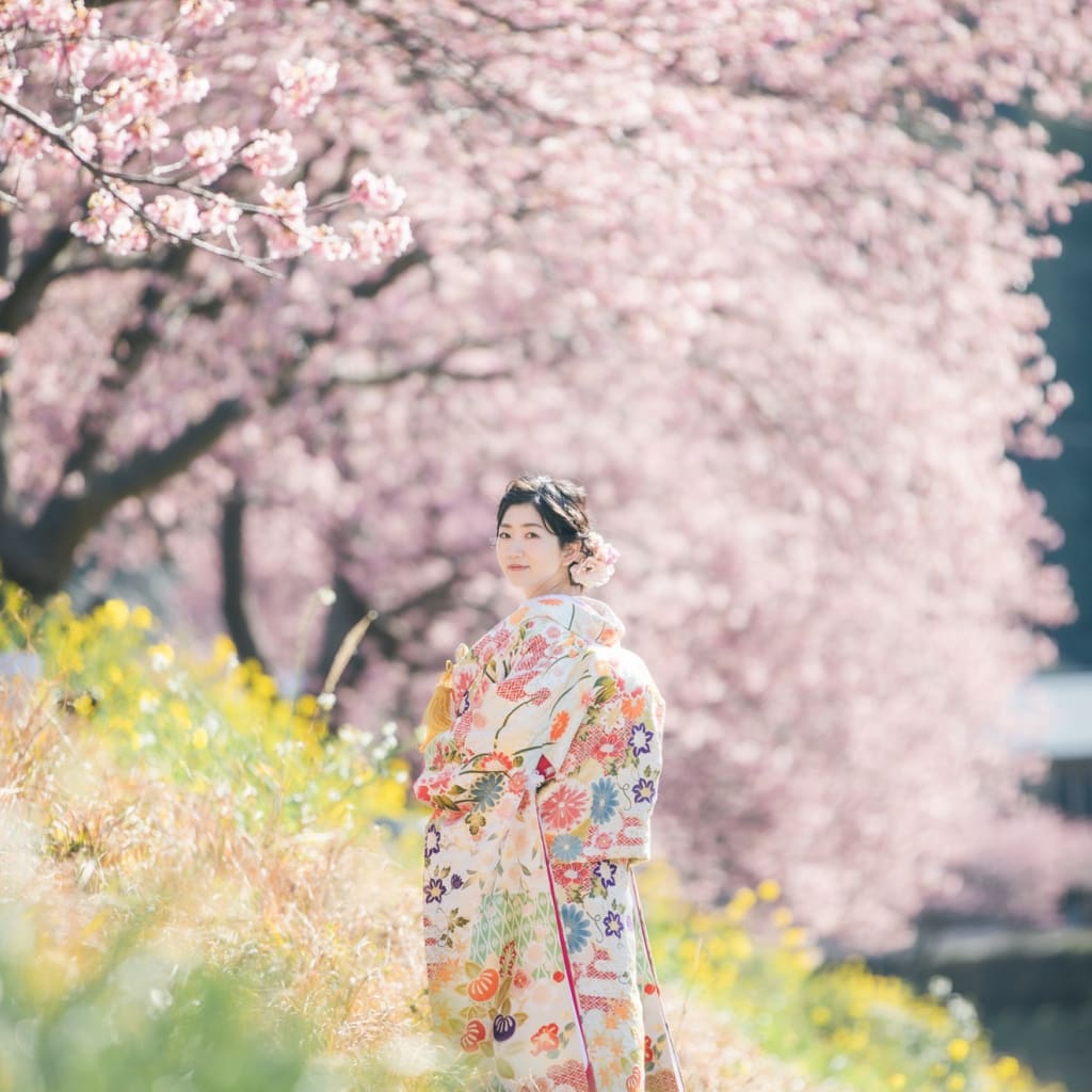 河津桜プラン・早期割引キャンペーン中！