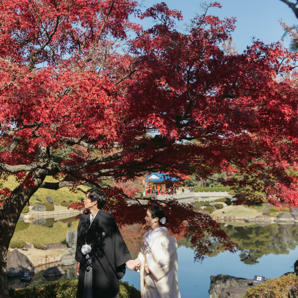 大仙公園　紅葉ロケーション撮影