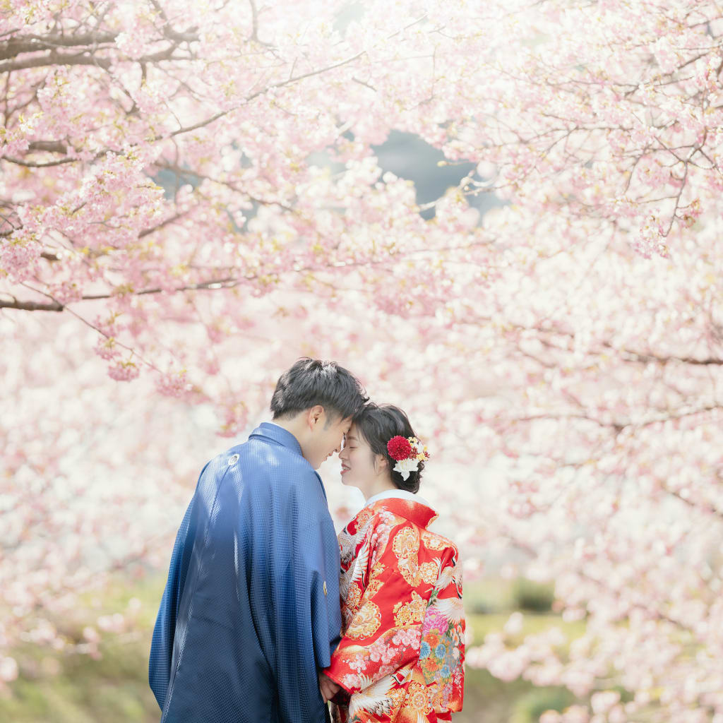 河津桜ロケーション♪