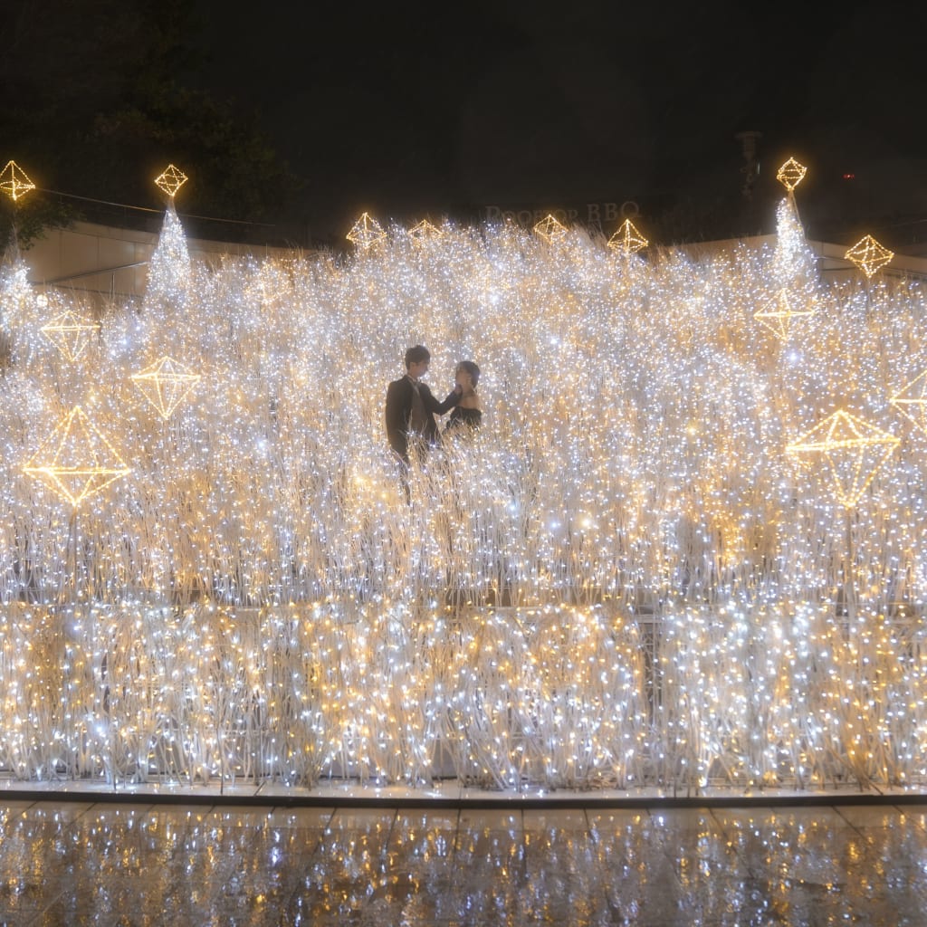 なんば店限定パークスイルミを新作ドレスで✨