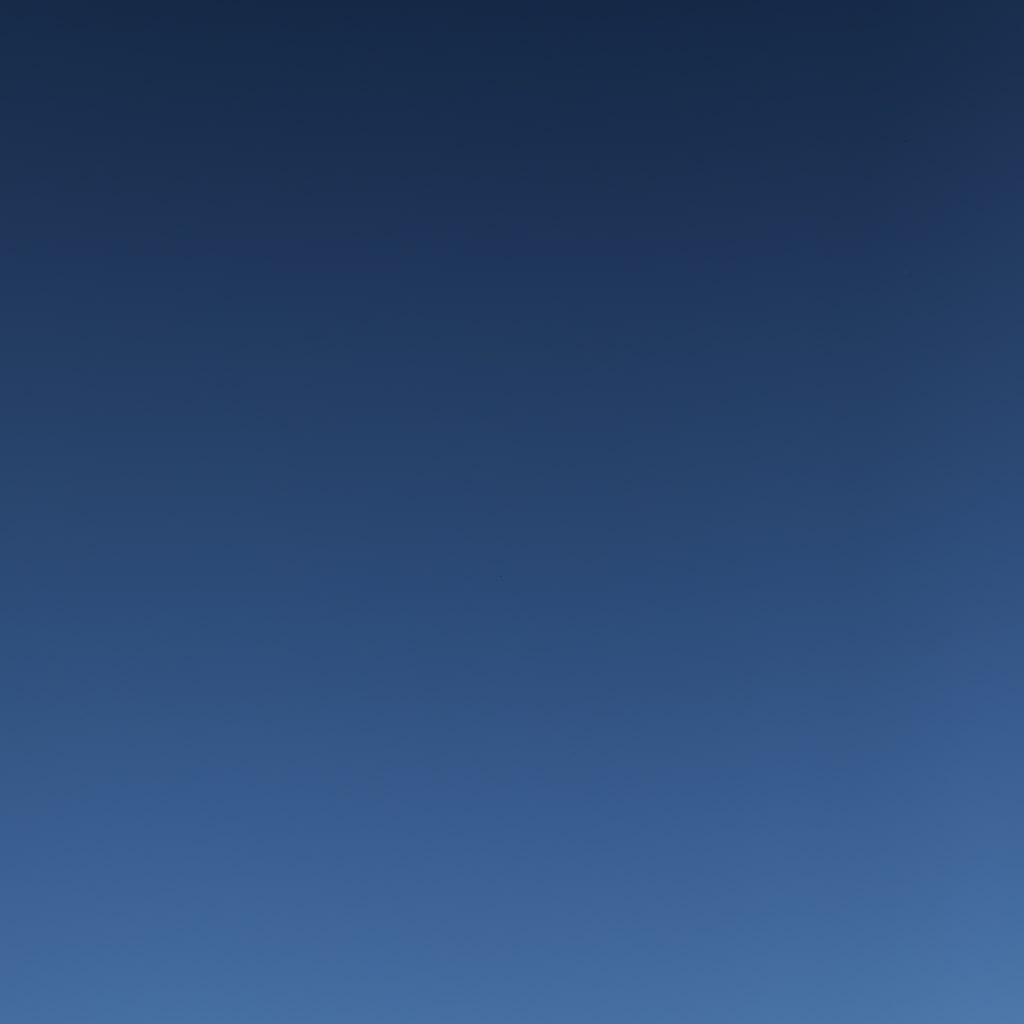 晴天に恵まれたメモリアルパーク