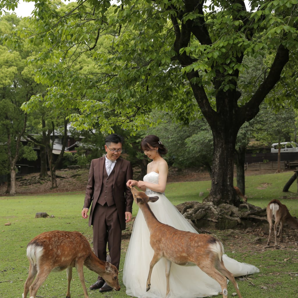 奈良公園＋浮見堂！