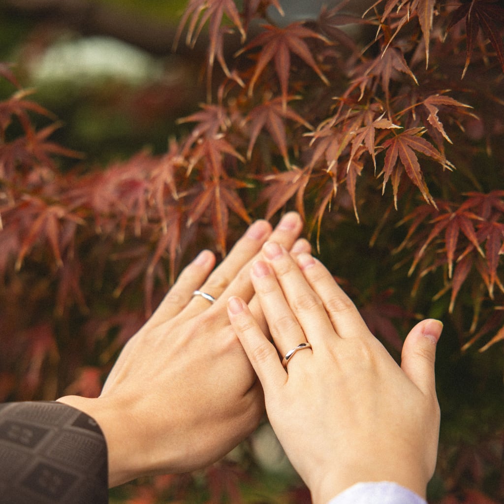 紅葉シーズンの三溪園