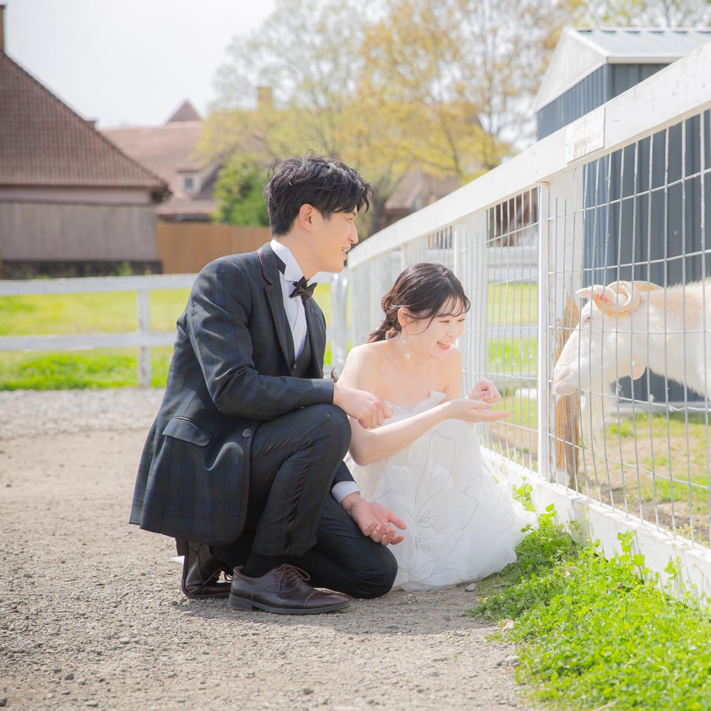 こころまでほぐれる牧場・花畑撮影♡