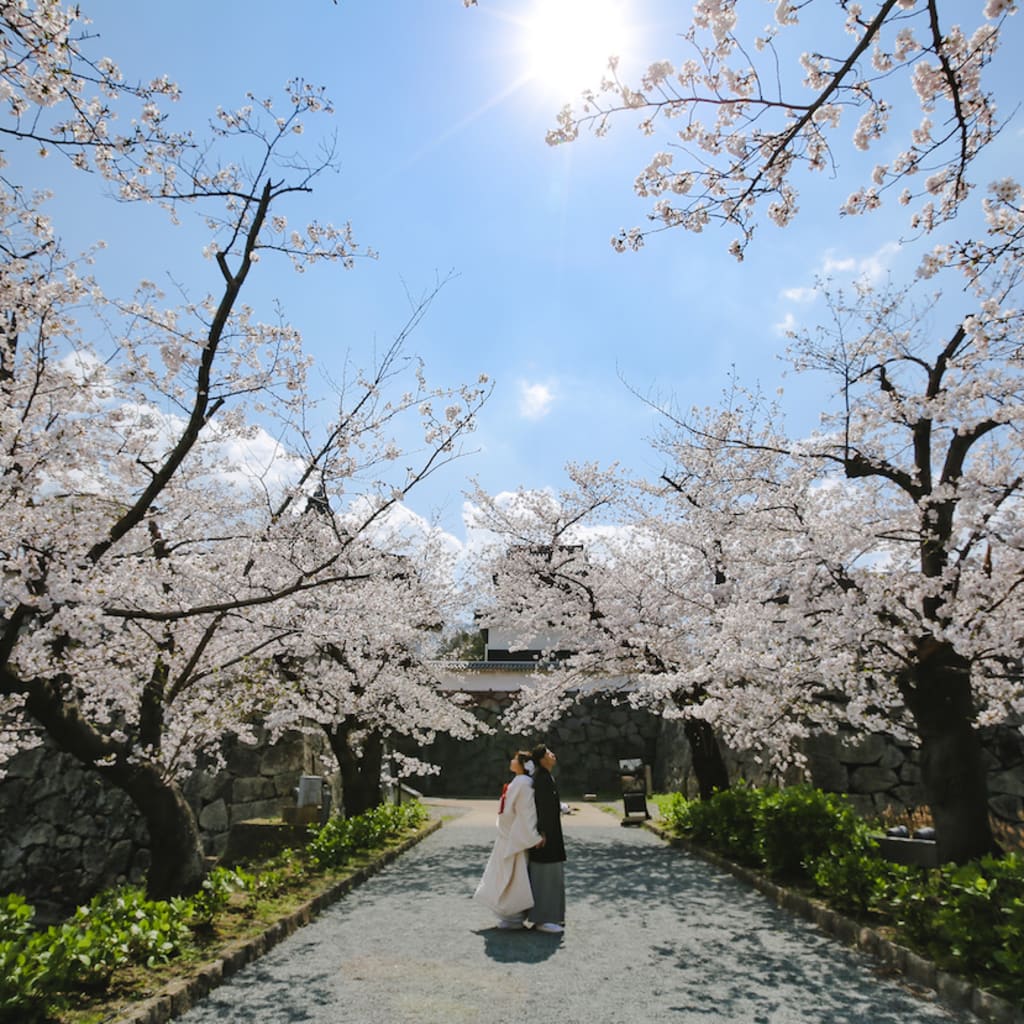 🌸お花見シーズン🌸