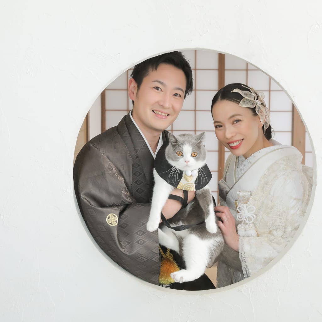 ねこさんと🐱