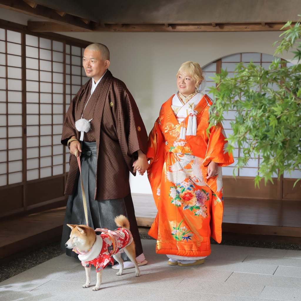 スタジオで柴犬と！