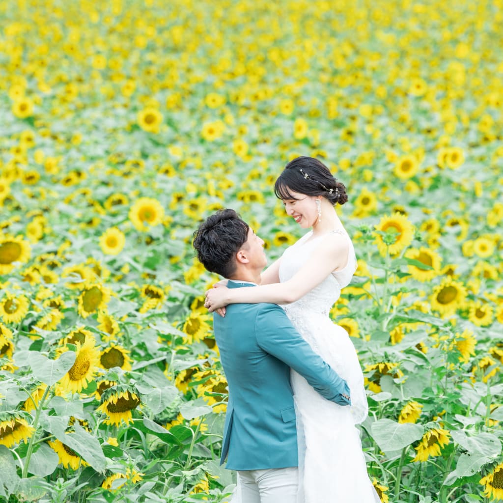 日本最大級のひまわり畑🌻でリゾートフォトを堪能しましょう！