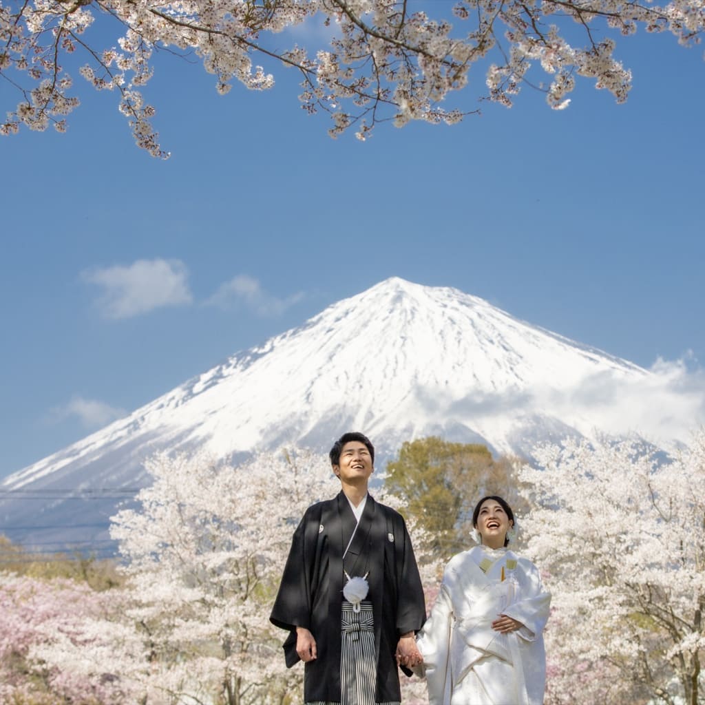 桜＋富士山のロケーションフォト