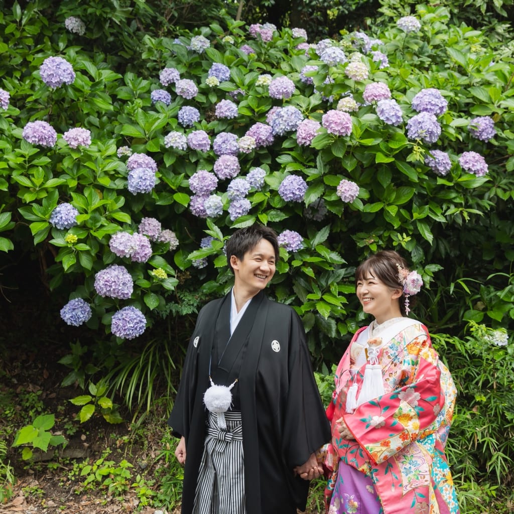 鎌倉の紫陽花撮影のご紹介！　