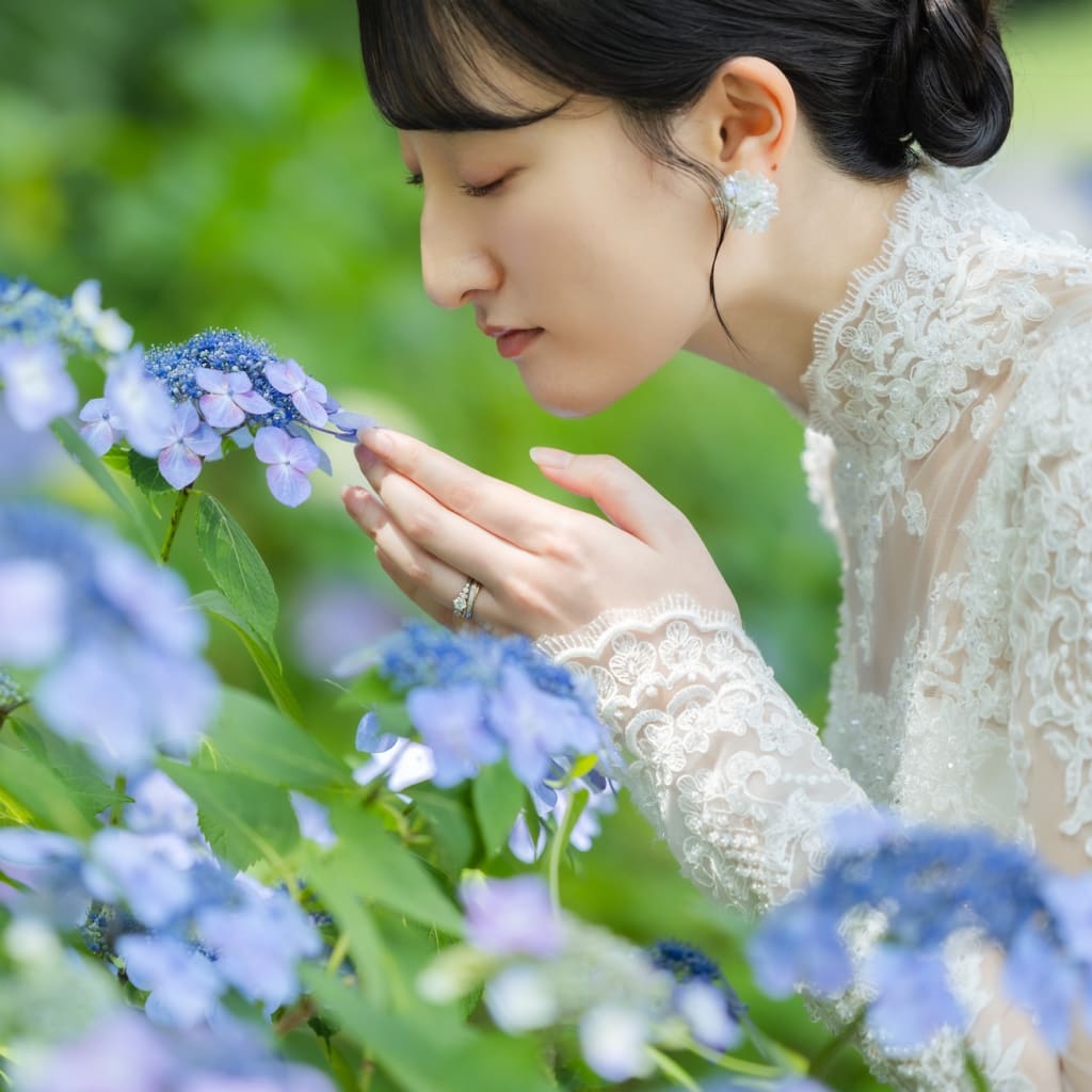 紫陽花と