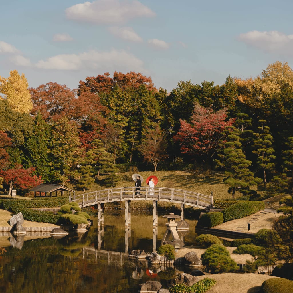 今だけ3万円off！紅葉ロケーション予約状況！