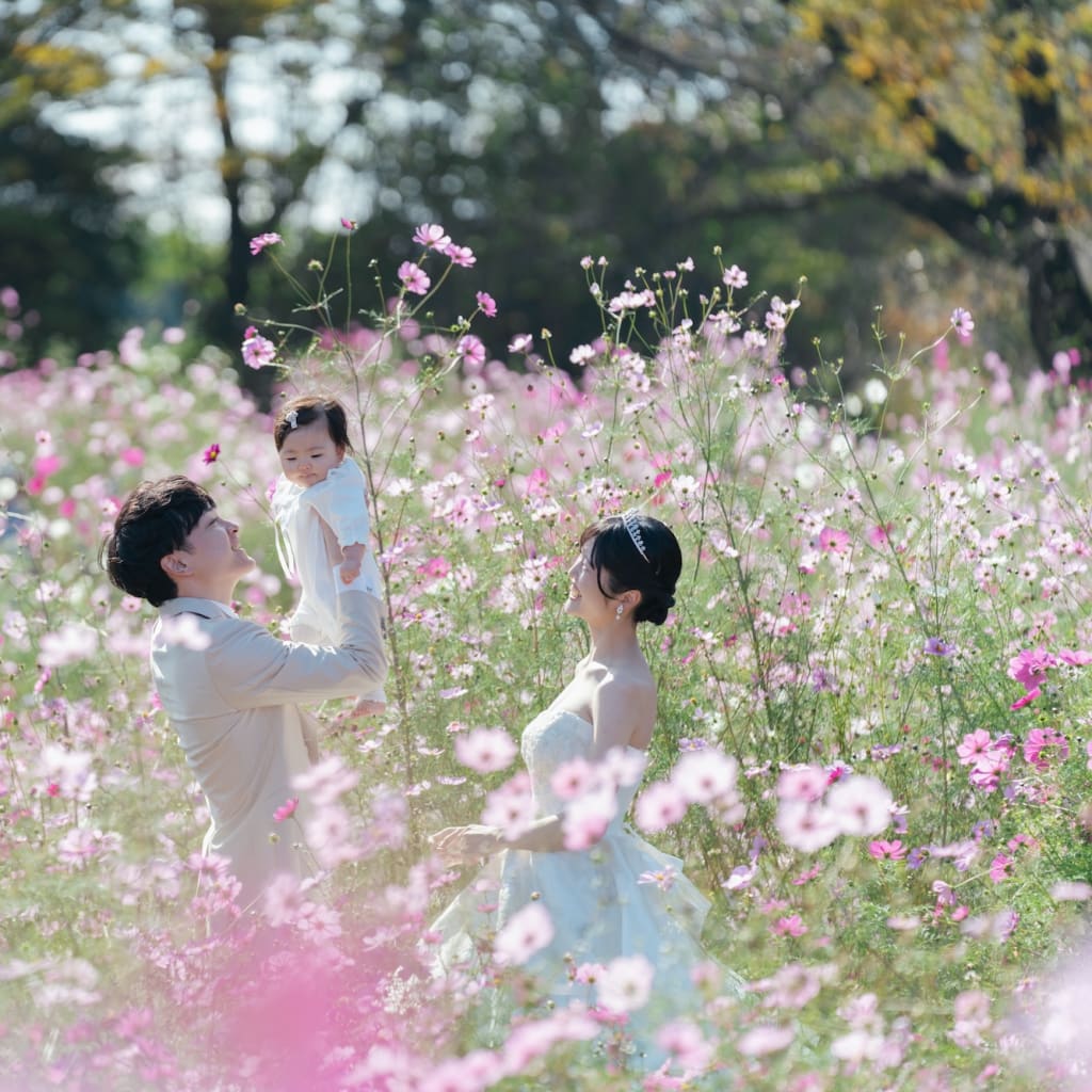 秋の花畑で家族時間。コスモスと楽しむウェディング撮影