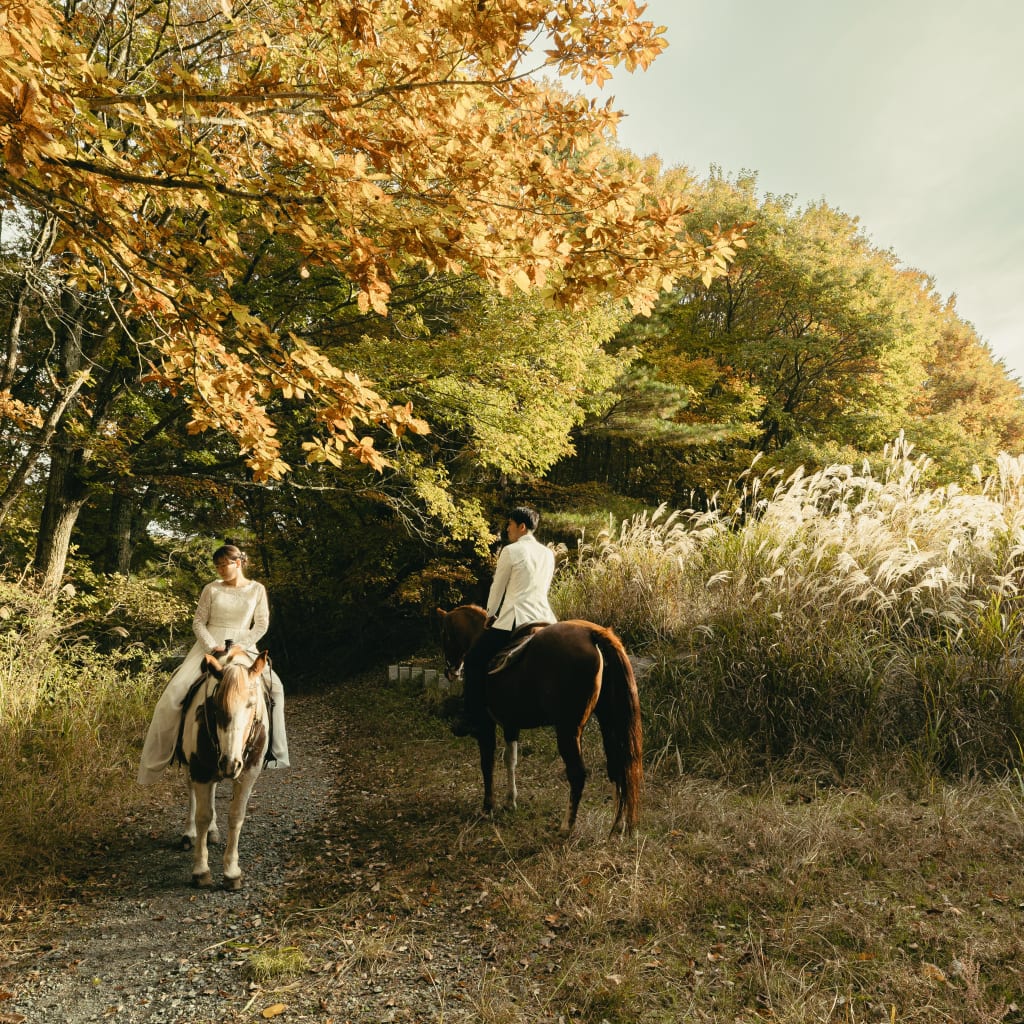 和洋満喫プラン！