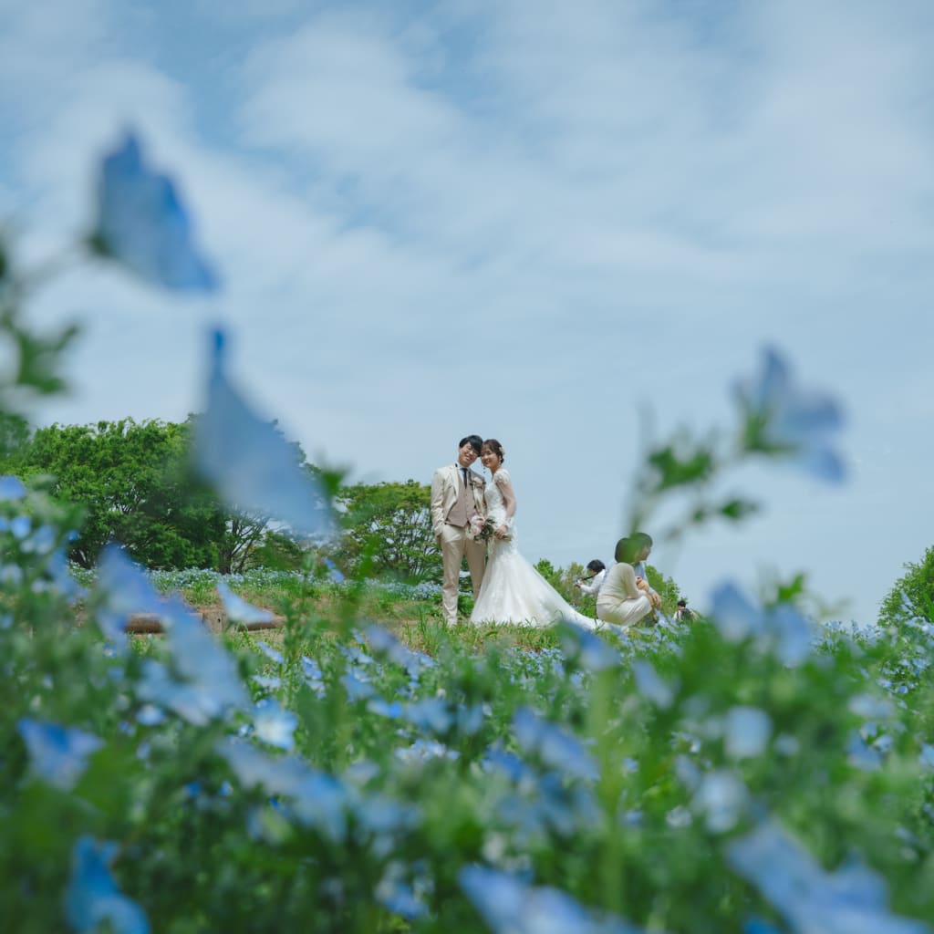 【 昭和記念公園 】ネモフィラと新緑