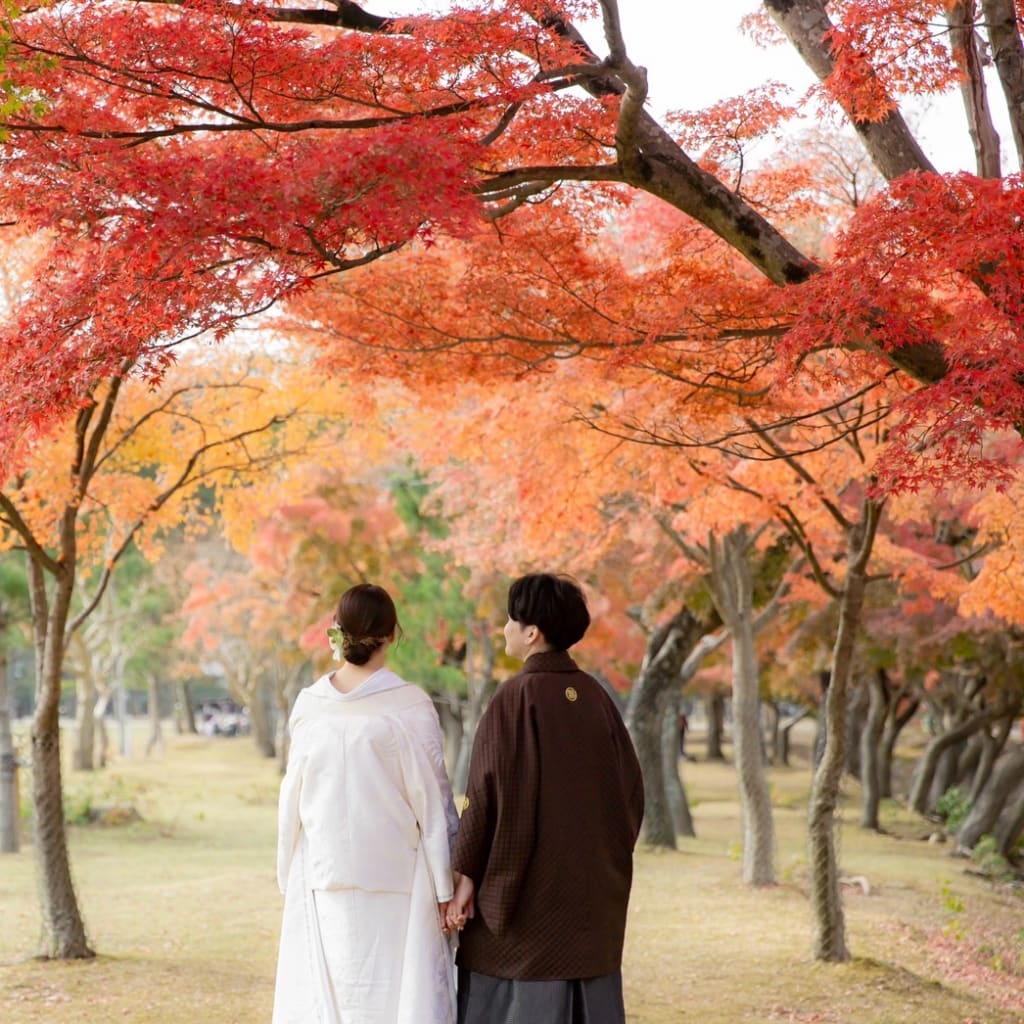 紅葉ロケーション撮影