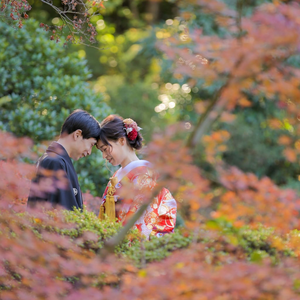 甘泉園紅葉ロケーション