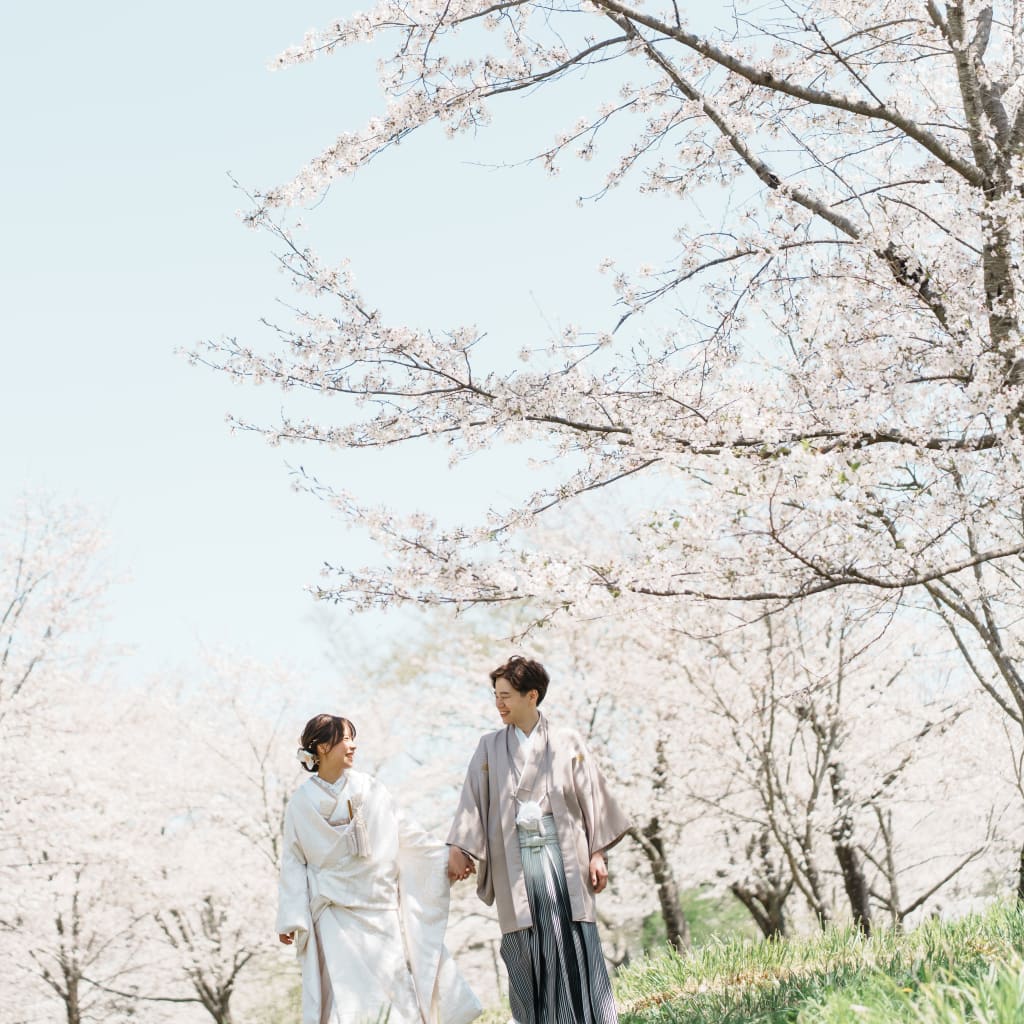 宇都宮の桜撮影