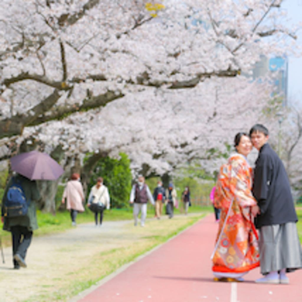 お花見日和でした