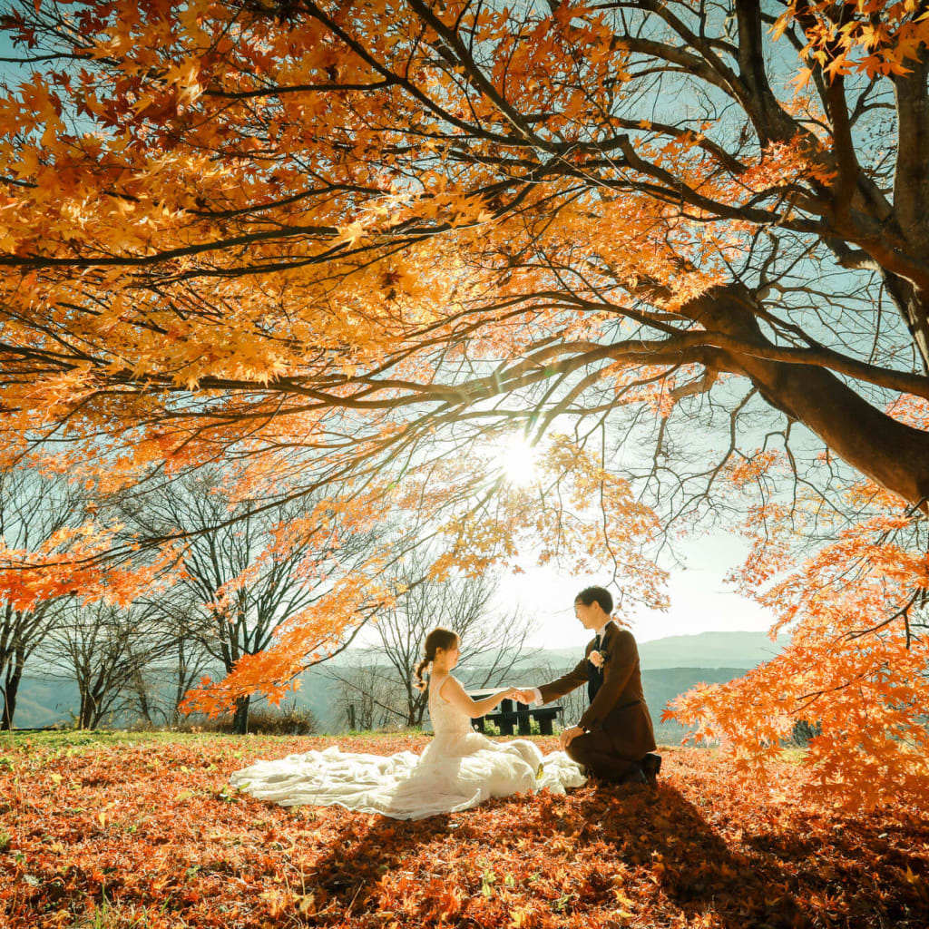 紅葉！！軽井沢のスタッフおすすめ穴場スポット【飯綱山公園】