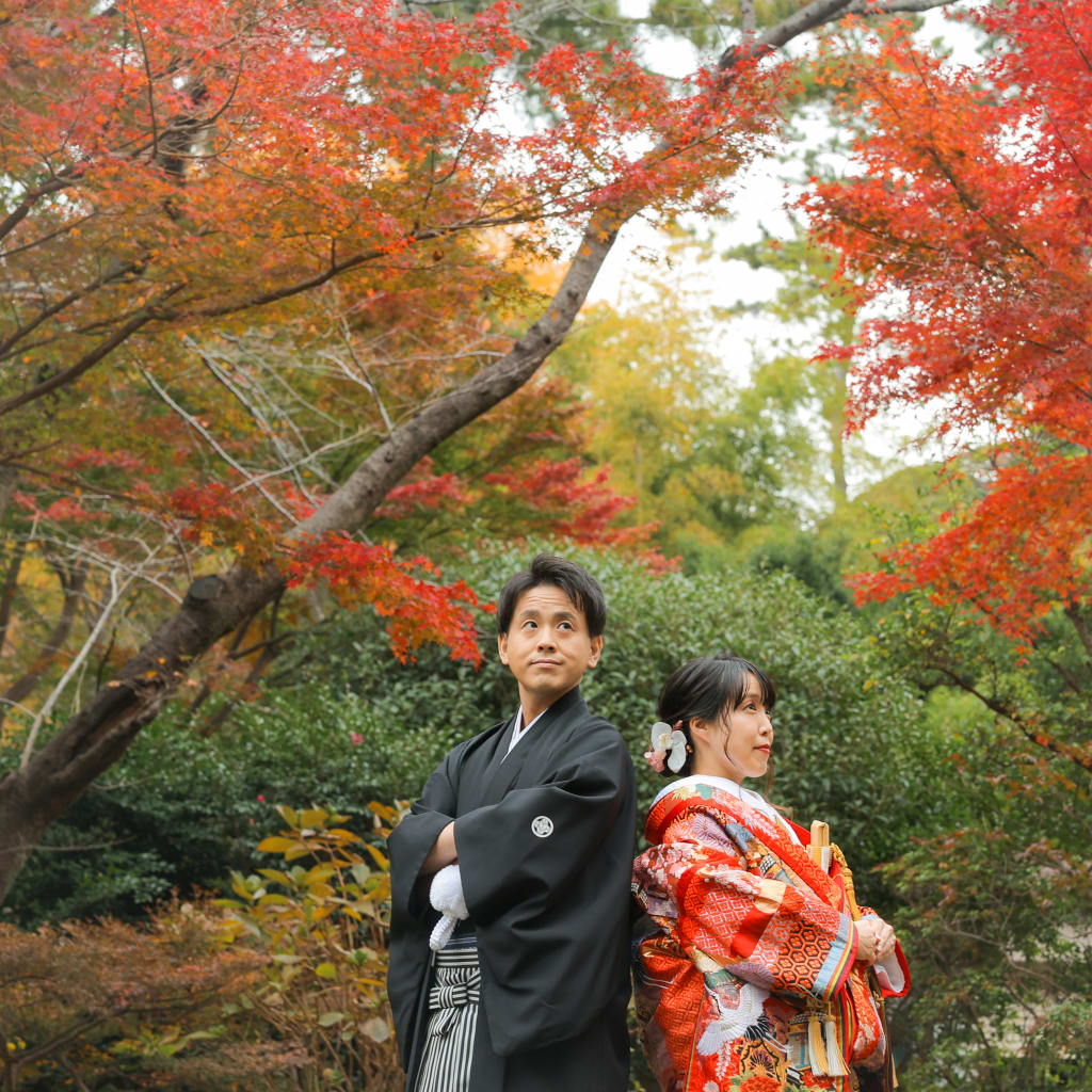 錦秋の日本庭園で紅葉とイチョウに包まれて　photo by 谷澤　明美