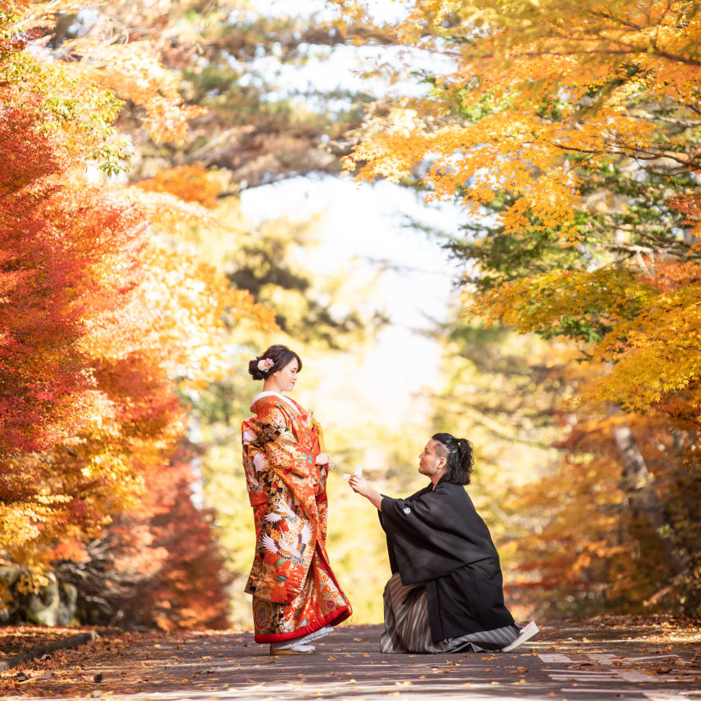 紅葉シーズンの小諸懐古園