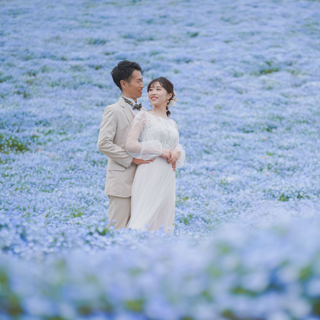 空と海の青と溶け合う「ネモフィラロケーション」相談会実施中