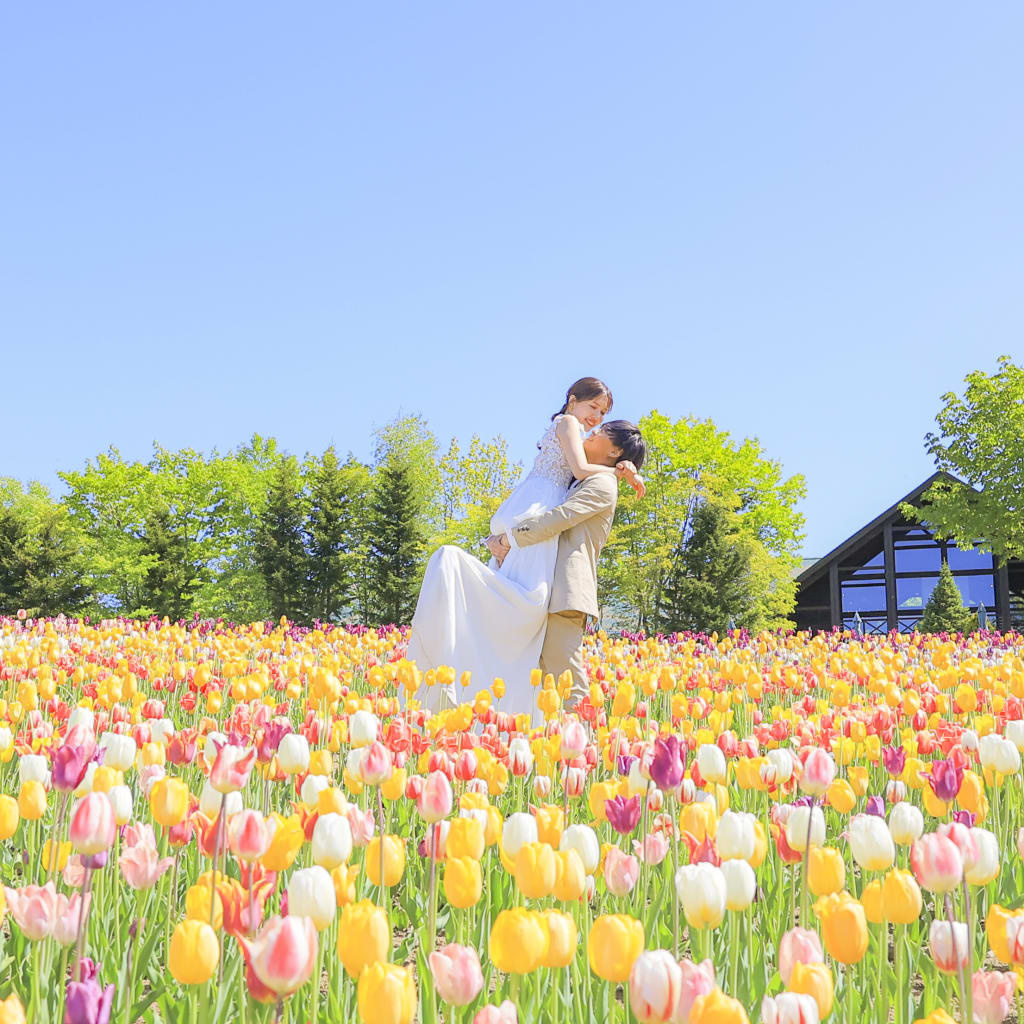 5月中旬！チューリップが満開🌷【滝野すずらん丘陵公園】