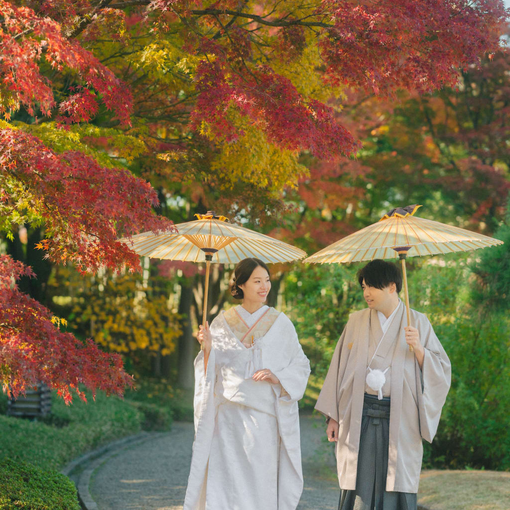 紅葉を撮りに行こうよっっっっっ！！