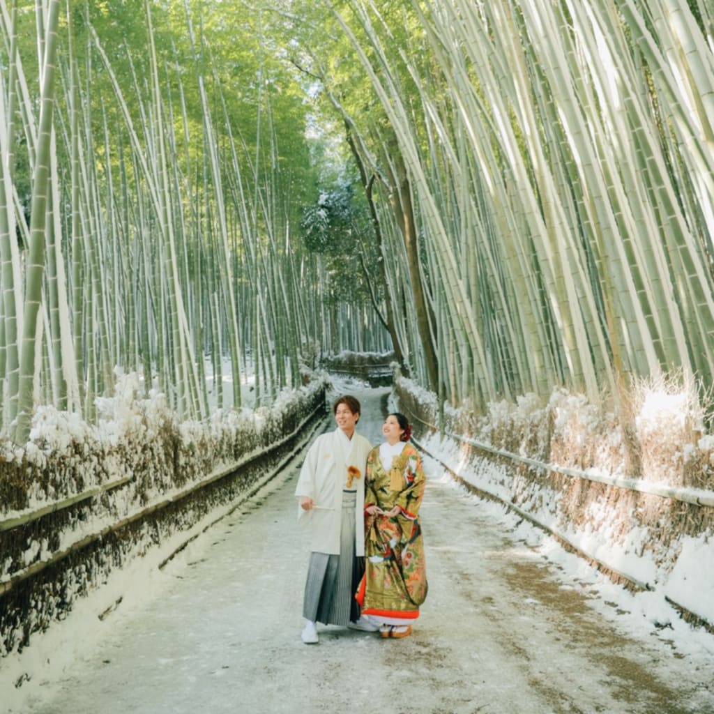 嵐山の雪景色！