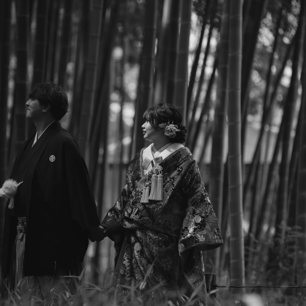 新緑時期でロケとスタジオのセットがおすすめです。