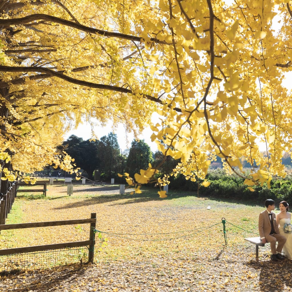秋の和洋ロケ🍁