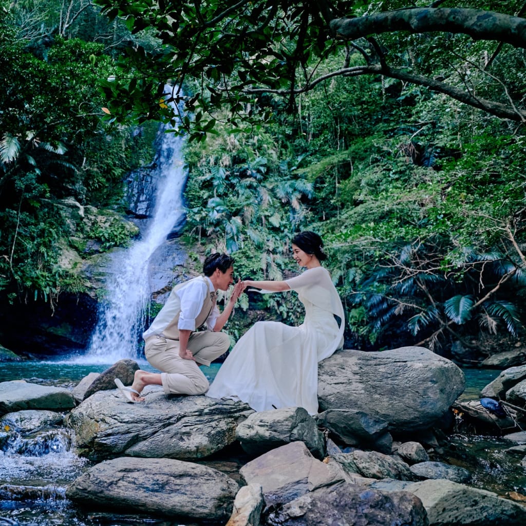 レアなプラン！やんばるの滝♪