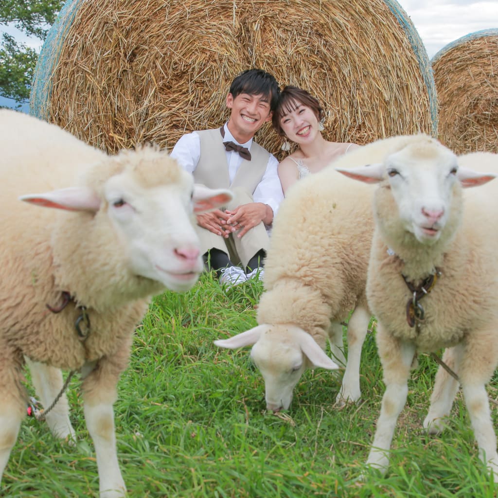 動物たちと一緒に！ここでしか残せないウエディングフォト！！